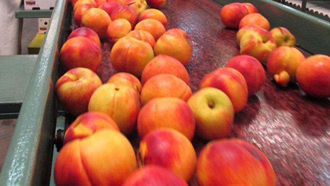 Peaches 2